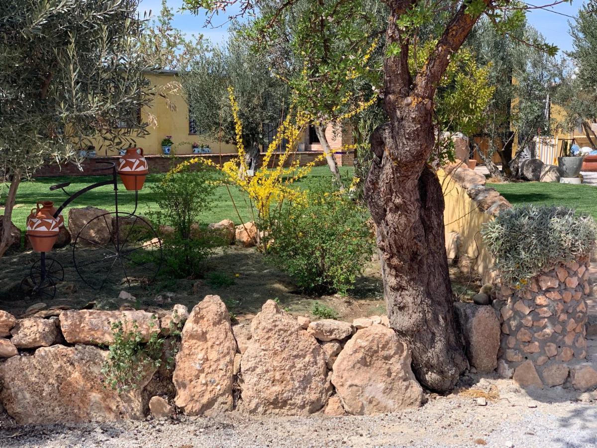 Cortijo Bustamante Guest House Baza Exterior photo